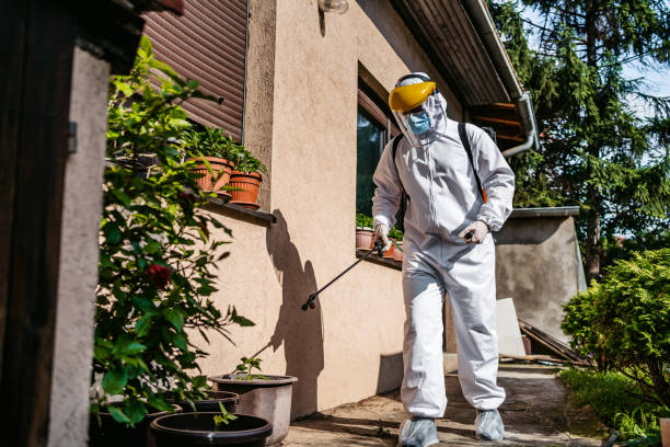 Best Spider Control Near Me  in Bylas, AZ