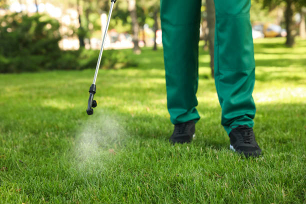 Best Ant Control Services  in Bylas, AZ