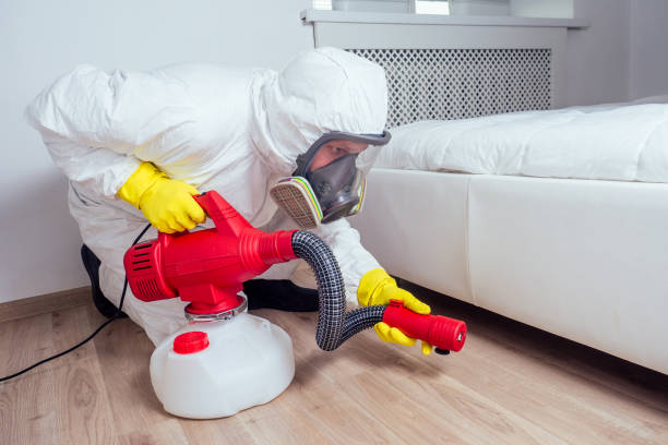 Best Flea Control Services  in Bylas, AZ
