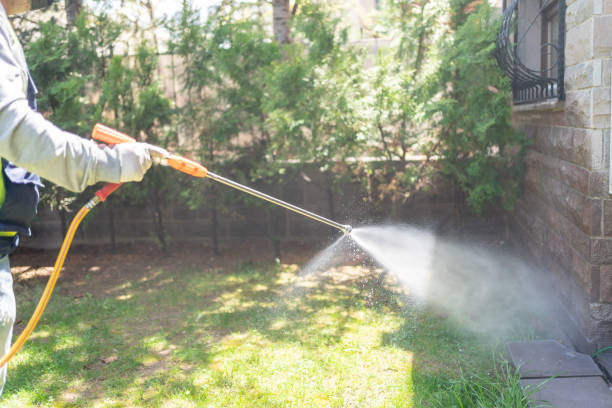 Best Affordable Pest Control Services  in Bylas, AZ